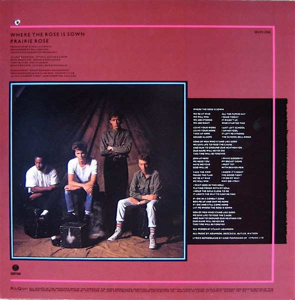 Big Country - Where The Rose Is Sown (12", Single) (Mint (M)) - Image 2
