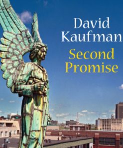 David Kaufman - second promise  (CD) (Mint (M))