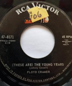 Floyd Cramer - (These Are) The Young Years (7", Single) (Very Good (VG))