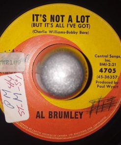 Al Brumley - It's Not A Lot  / Welcome Home Again (7") (Good Plus (G+))