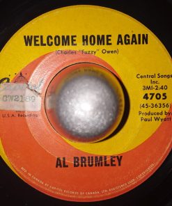 Alternative view of Al Brumley - It's Not A Lot  / Welcome Home Again (7") (Good Plus (G+))