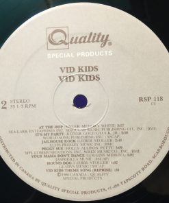 Vid Kids - Vid Kids (LP) (Mint (M)) - Image 4