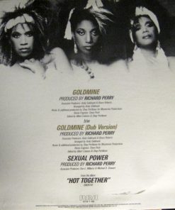 Alternative view of Pointer Sisters - Goldmine (12") (Mint (M))