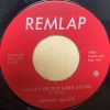 Johnny Allen (8) - Valley Of Old Lake Louise (7") (Very Good Plus (VG+))