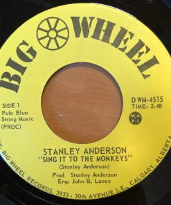 Stanley Anderson (2) - Sing It To The Monkeys / Take These Chains From My Heart (7", Single) (Very Good Plus (VG+))