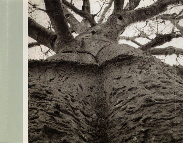 Salif Keita - Papa (CD, Album) (Near Mint (NM or M-)) - Image 5