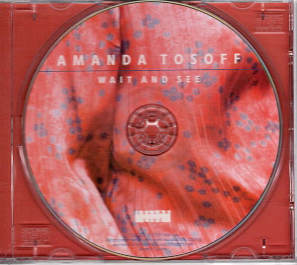 Amanda Tosoff - Wait And See (CD, Album) (Near Mint (NM or M-)) - Image 3