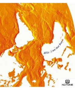 Avia - I See That Now... (CD, Album) (Near Mint (NM or M-))