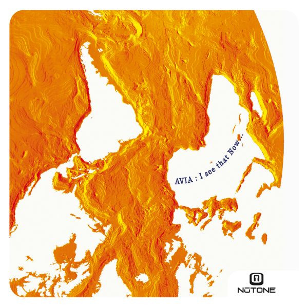 Avia - I See That Now... (CD, Album) (Near Mint (NM or M-))