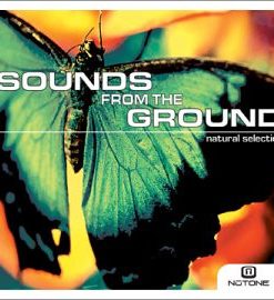 Sounds From The Ground - Natural Selection (CD, Album) (Near Mint (NM or M-))