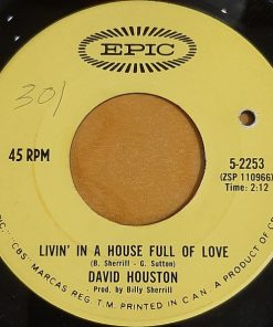 David Houston - Livin' In A House Full Of Love / Mountain Of Love (7", Single) (Near Mint (NM or M-))