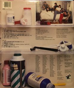 Alternative view of Wild Seeds - Mud, Lies & Shame (LP, Album) (Mint (M))