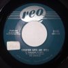 The Argyles (7) - Vacation Days Are Over / It Takes Time (7", Single) (Very Good Plus (VG+))