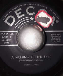 Alternative view of Sunny Gale - Who Are We To Say? / A Meeting Of The Eyes (7") (Very Good Plus (VG+))