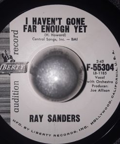 Alternative view of Ray Sanders - Lonelyville / I Haven't Gone Far Enough Yet (7", Aud) (Very Good Plus (VG+))