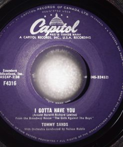 Alternative view of Tommy Sands - You Hold The Future / I Gotta Have You (7") (Very Good Plus (VG+))