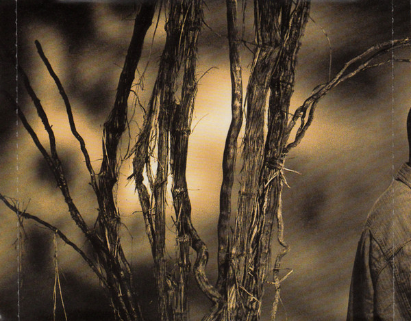 Ismaël Lô - Jammu Africa (CD, Comp) (Near Mint (NM or M-)) - Image 3
