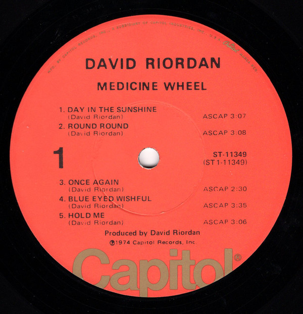 David Riordan - Medicine Wheel (LP) (Mint (M)) - Image 3