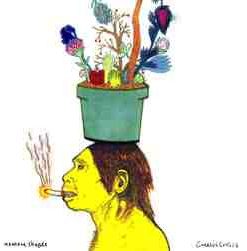 No More Shapes - Creesus Crisis (CD, Album) (Very Good Plus (VG+))
