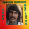 Wynne Hanson - Road Musician (LP) (Mint (M))