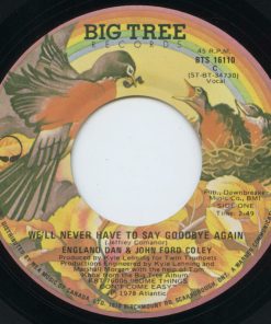 England Dan & John Ford Coley - We'll Never Have To Say Goodbye Again (7", Single) (Near Mint (NM or M-))