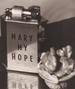 Mary My Hope - Museum (LP, Album) (Mint (M))