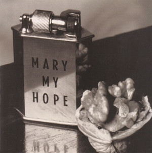 Mary My Hope - Museum (LP, Album) (Mint (M))
