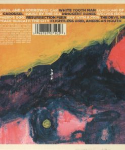 Alternative view of Iron And Wine - The Shepherd's Dog (CD, Album) (Near Mint (NM or M-))