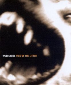 Wolfstone - Pick Of The Litter: The Best Of Wolfstone (1991-1996) (CD, Comp) (Mint (M))