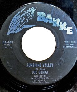 Alternative view of Charles Casella / Joe Gurka Orchestra - I'll Search My Heart And See / Sunshine Valley (7") (Very Good Plus (VG+))