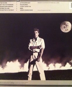 Alternative view of Roger Daltrey - Under A Raging Moon (LP, Album) (Mint (M))