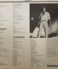 Roger Daltrey - Under A Raging Moon (LP, Album) (Mint (M)) - Image 5