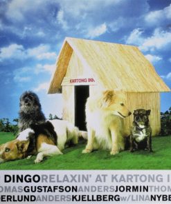Dr Dingo - Relaxin' At Kartong Inn (CD, Album) (Near Mint (NM or M-))