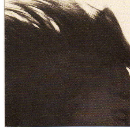 Ale Möller - The Horse And The Crane (CD, Album) (Near Mint (NM or M-))