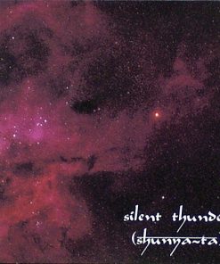 Randev Pandit - Silent Thunder (Shunyarta) (CD, Album) (Near Mint (NM or M-))