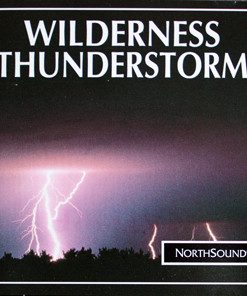 No Artist - Wilderness Thunderstorm (CD, Album) (Very Good Plus (VG+))