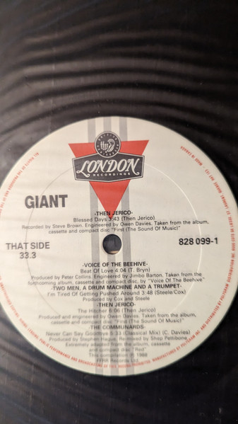 Various - Giant (LP, Comp) (Mint (M)) - Image 4