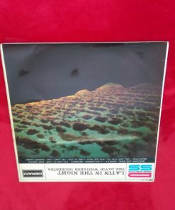 The David Whitaker Orchestra - Latin In The Night (LP, Album) (Mint (M))