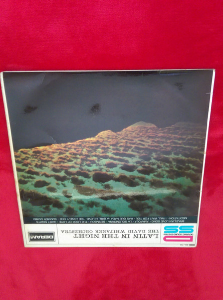 The David Whitaker Orchestra - Latin In The Night (LP, Album) (Mint (M))