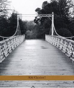 Psamim - Abi Gezint! (CD, Album) (Near Mint (NM or M-))