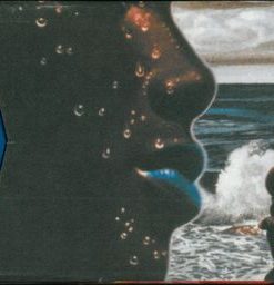 Miles Davis - The Complete Bitches Brew Sessions (4xCD, Promo, RM + Box, Comp) (Near Mint (NM or M-))