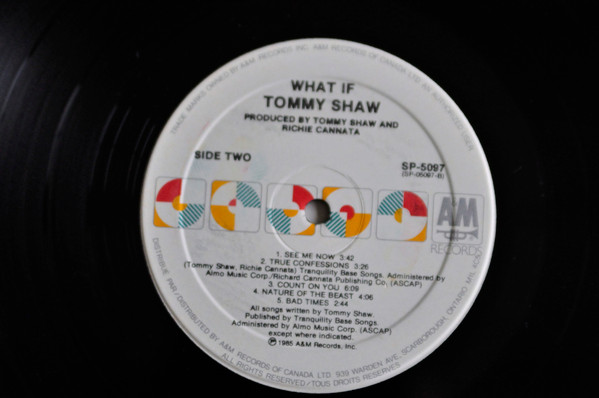 Tommy Shaw - What If (LP, Album) (Mint (M)) - Image 4