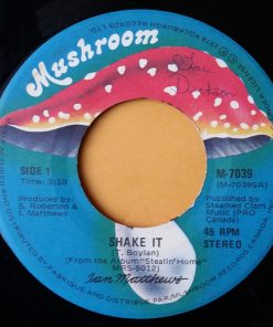 Iain Matthews - Shake It (7") (Near Mint (NM or M-))