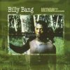 Billy Bang - Vietnam: The Aftermath (CD, Album) (Near Mint (NM or M-))