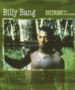 Billy Bang - Vietnam: The Aftermath (CD, Album) (Near Mint (NM or M-))