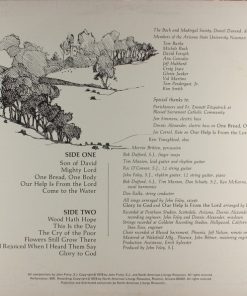 Alternative view of John Foley - Wood Hath Hope (LP, Album) (Mint (M))