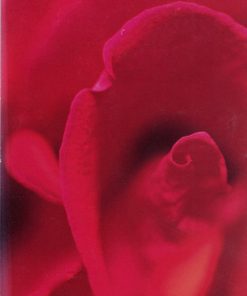 Alternative view of Southern All Stars - 涙のキッス (CD, Mini, Single) (Very Good Plus (VG+))