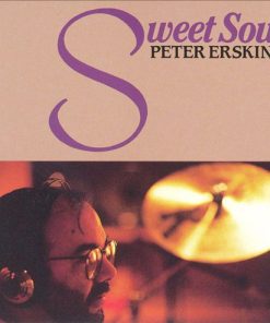 Peter Erskine - Sweet Soul (CD, Album) (Near Mint (NM or M-))