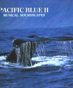 Stefan Schramm And Jonas Kvarnström - Pacific Blue II (CD, Album) (Near Mint (NM or M-))