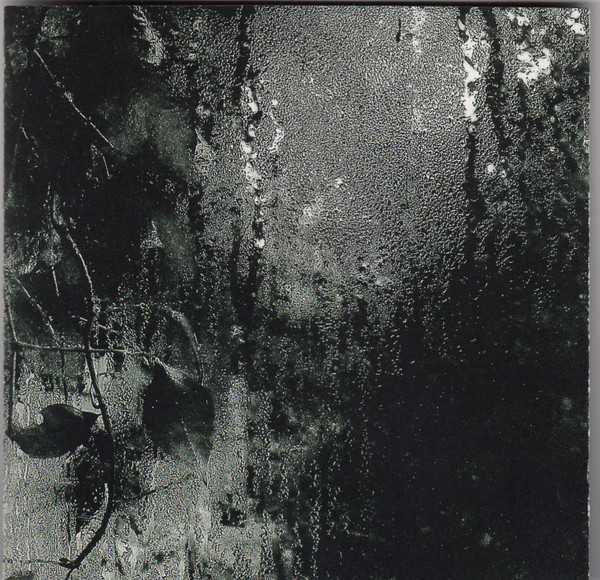 Susan McKeown - Bushes & Briars (CD, Album, Sli) (Near Mint (NM or M-)) - Image 4